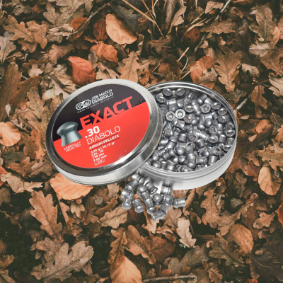 Пульки для пневматики